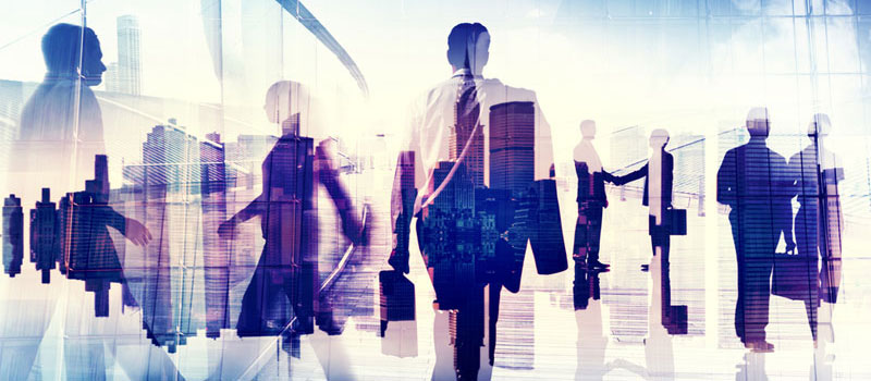 Annuaire des entreprises